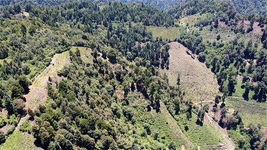 SEIARN_SEIF_DSIA_FERNANDO_VALDEZ_CALDERÓN_DJI_0248
