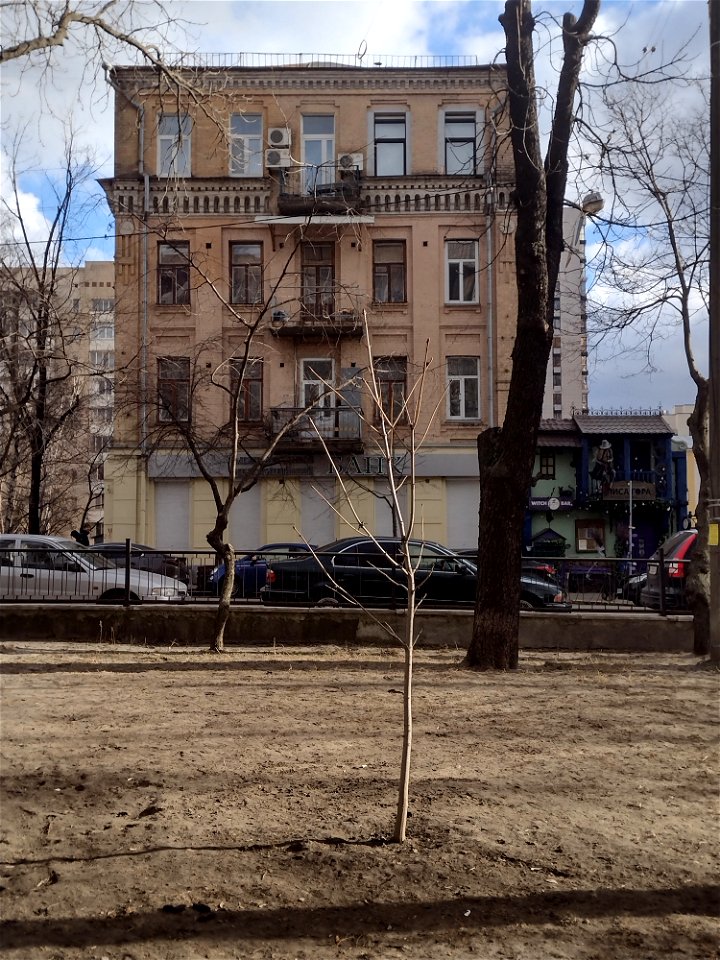IMG_20230305_151432406_HDR