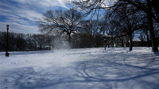 Snow day in Brooklyn photo