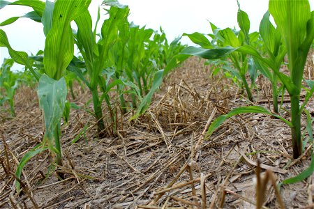 Victoria Soil Health Workshop  (2)