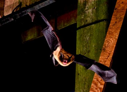 2021 Photo Contest_34