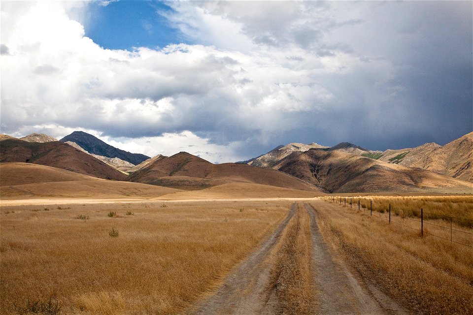Cheatgrass-SantaRosaNevada-001