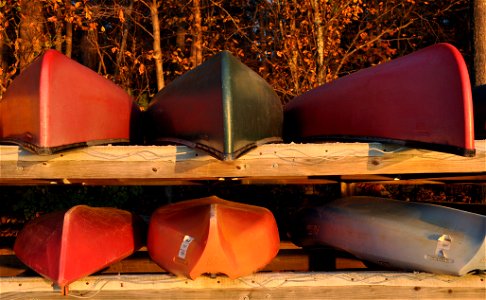 canoes and kayaks, lake crabtree photo