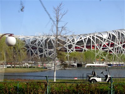 Birds nest photo