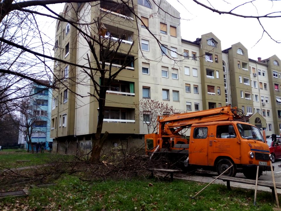 Workers prune a tree in residential block in Banja Luka, Bosnia and Herzegovina