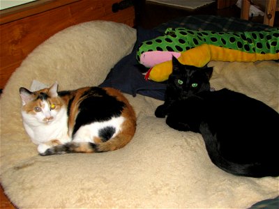 Picture 024