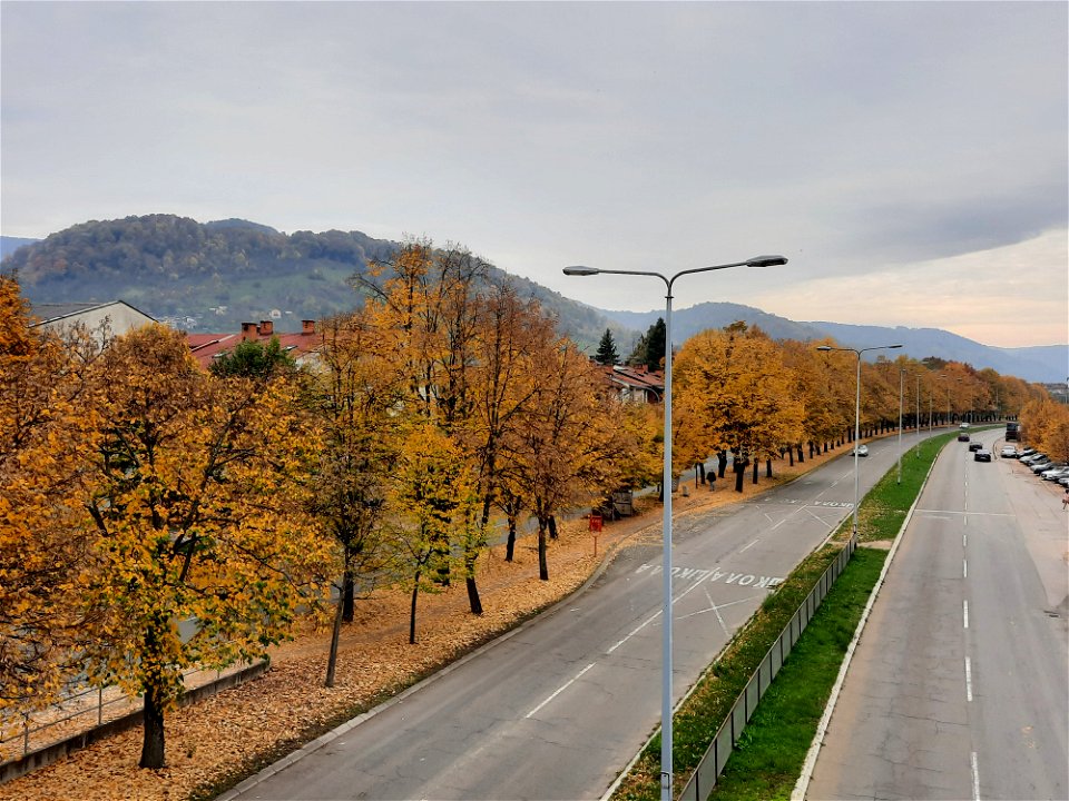 Autumn in Bulevar Desanke Maksimović (1), Starčevica, Banja Luka, BiH