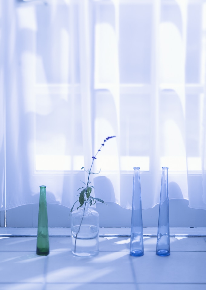 Beautiful flowers in glass vase with light from bathroom window