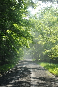 Sand Run Lake Trail West Virginia photo