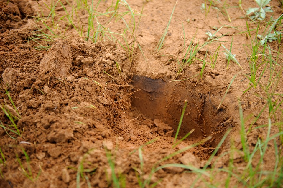 After a wildfire three weeks earlier, a thin layer of black ash is evident just below the soil surface. High winds deposited sand on top of the ash.