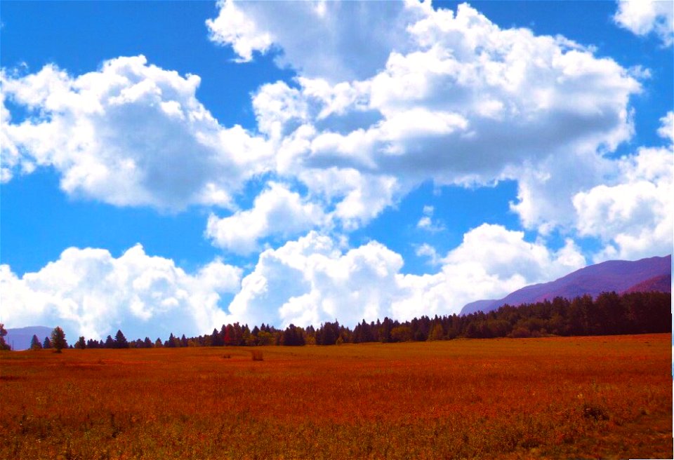 Lake Placid New York Trip - Adirondack Park - Scenic Landscape photo