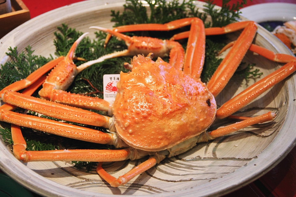 Echizen crab Sea food Mikuni Port