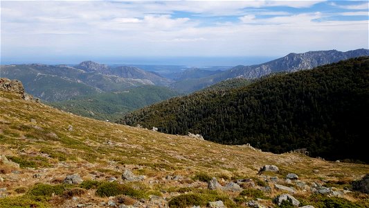 GR 20 Nord Sud Etape 10 Vizzavona - Capanelle