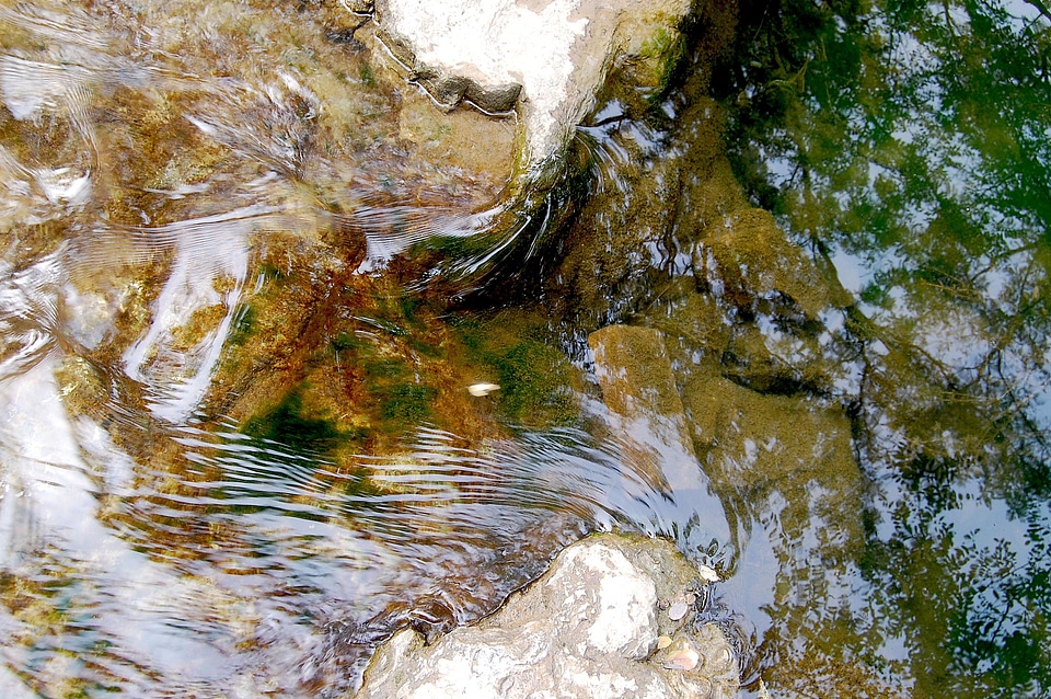 Brooks crystal clear water flow