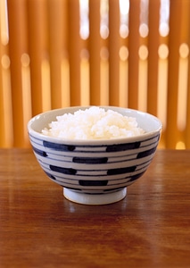 Rice bowl photo
