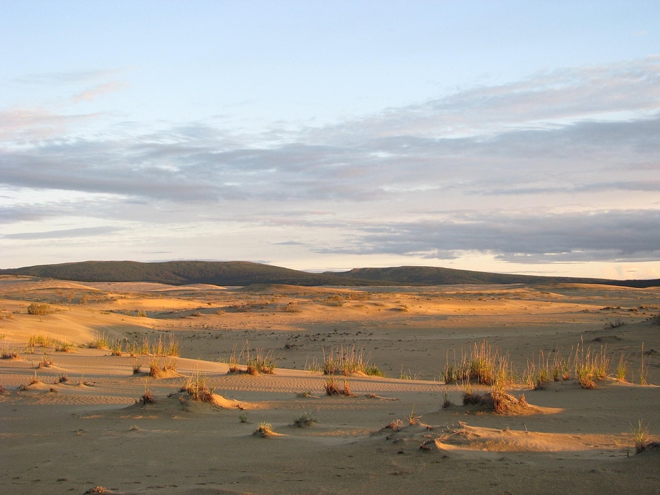 the Great Kobuk Sand Dunes