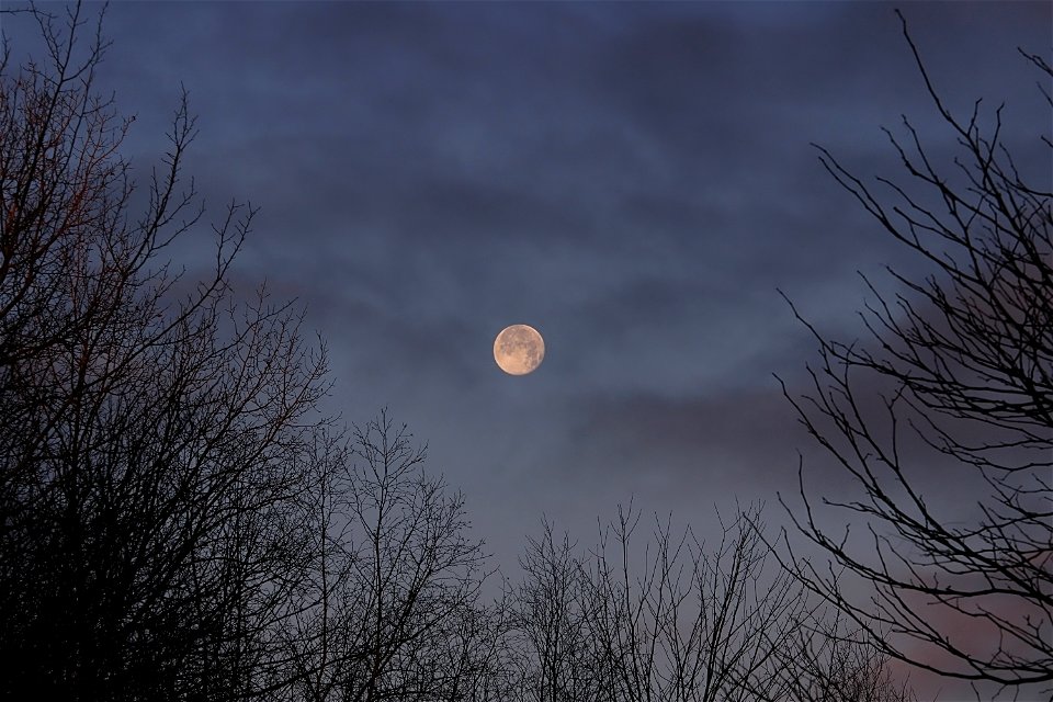 Setting Moon At Early Dawn
