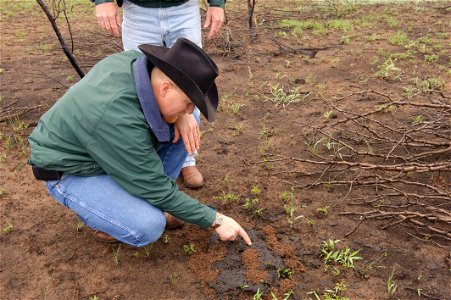 NRCS Texas Soil Scientist Nathan Haile examines active soil micro-organisms at work where a wildfire occurred three weeks earlier. photo