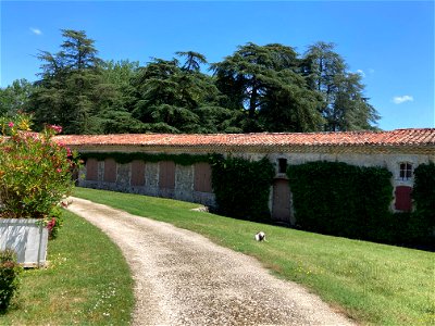Adele's Childhood Home Front Garden: Chateau de Trenquelleon, Feugarolles