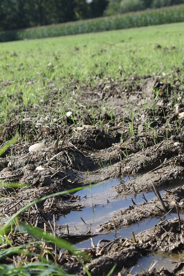 Mud trace clay