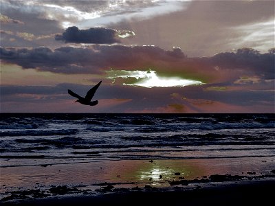 Sunset Over Lake Ontario - Toronto - Ontario - Canada photo