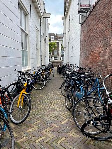 Bicycles photo