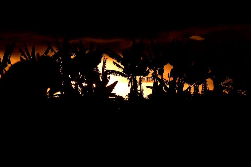 Puesta de sol en Circasia