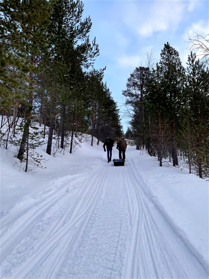 Transportation in snow photo