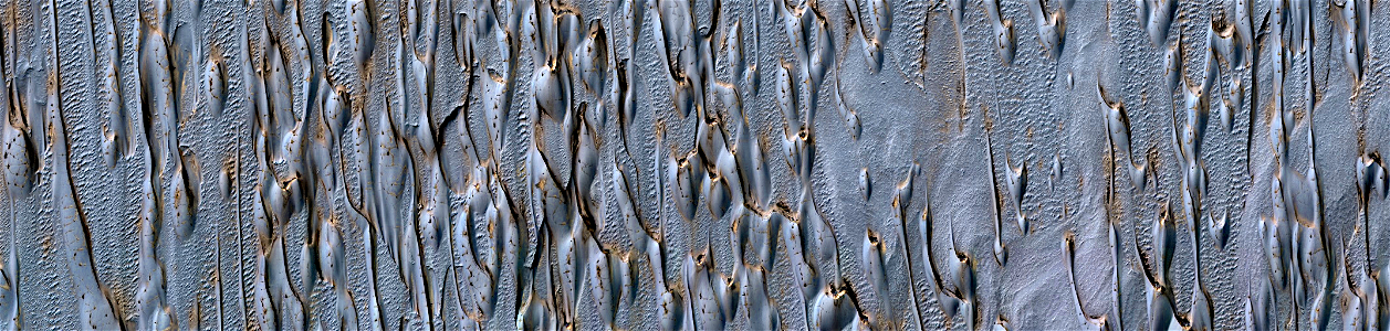 Mars - Chasma Boreale Dunes photo