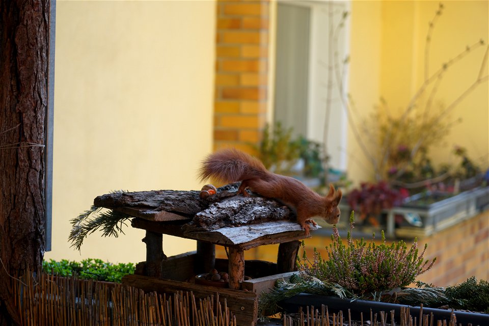 checking out the surroundings