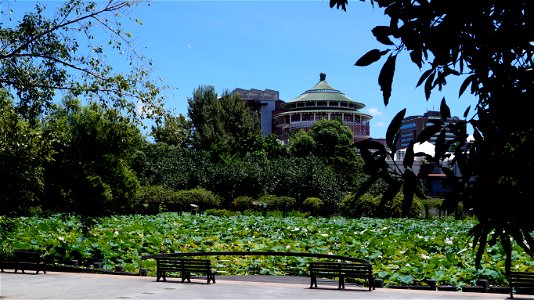 Botanical gardens Taipei photo