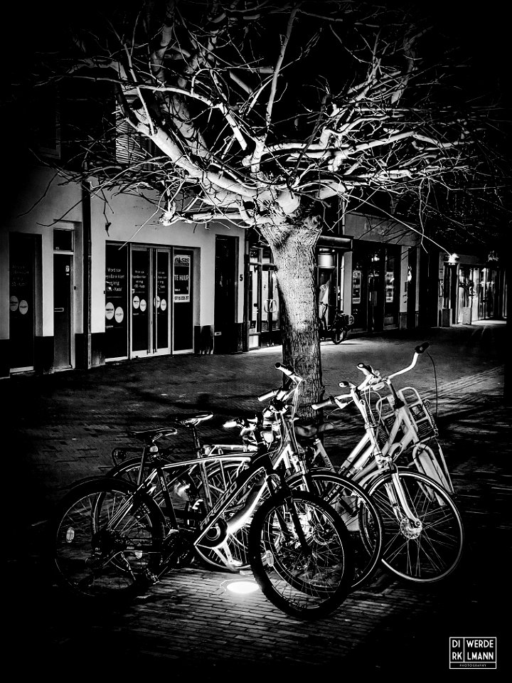 bike tree
