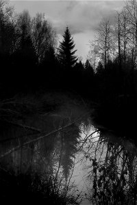 River in darkness photo