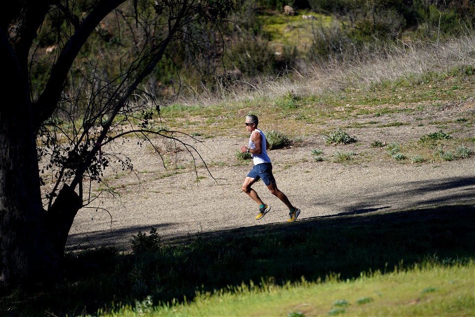 Run for Paramount 2022