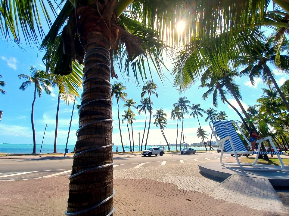 Janeiro 2022, Pajuçara/Ponta Verde