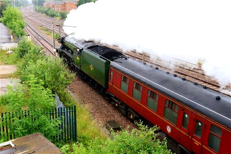 60103 Flying Scotsman at Oakleigh Park with 'The White Rose'