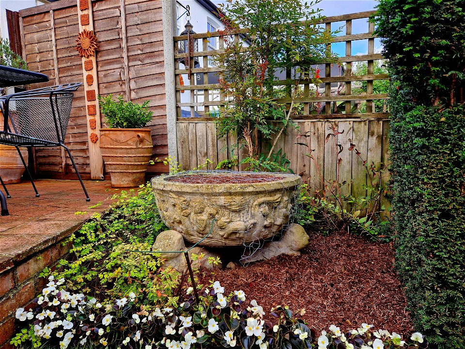 Garden in October