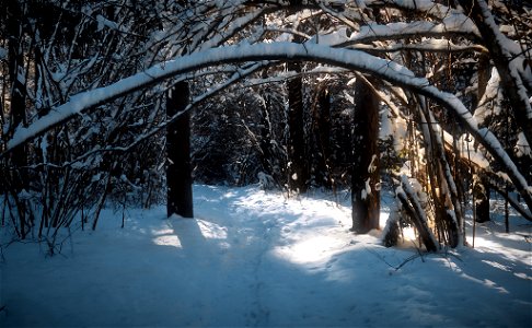 Gates to Winter Wonderland