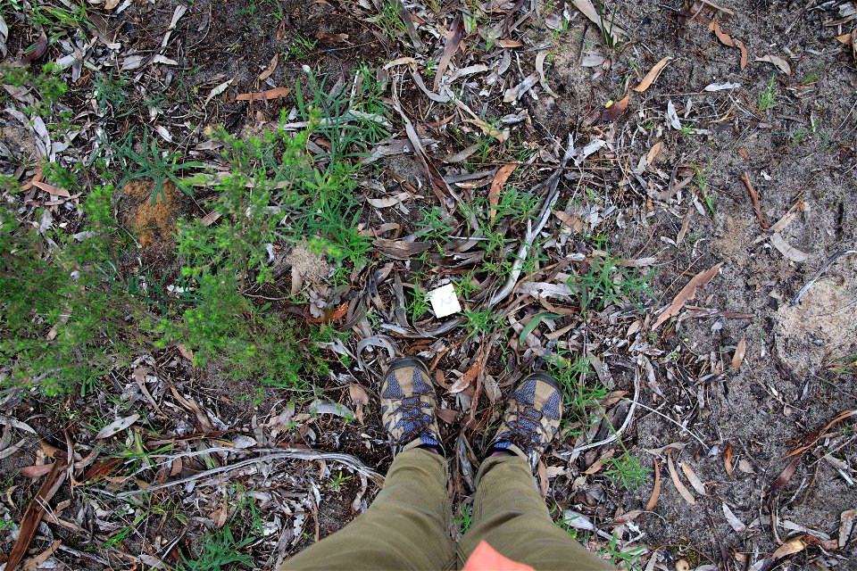 2022 Site 2 Ground photo 2