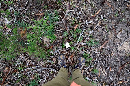 2022 Site 2 Ground photo 2