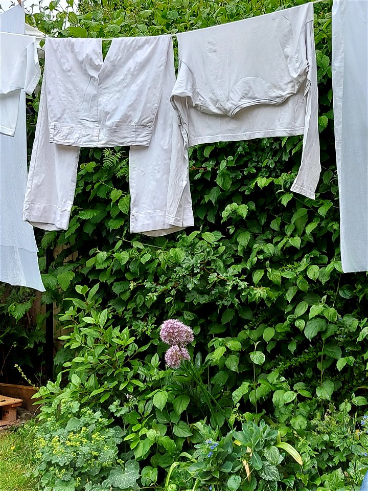 Laundry photo