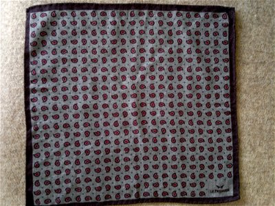 Pocket square Le Premier 1