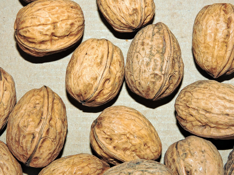 Dried fruit food foods