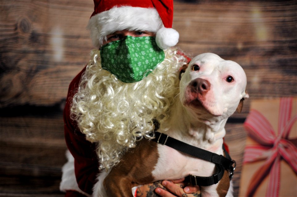 City of Elderly Love Claus for Paws Fundraiser