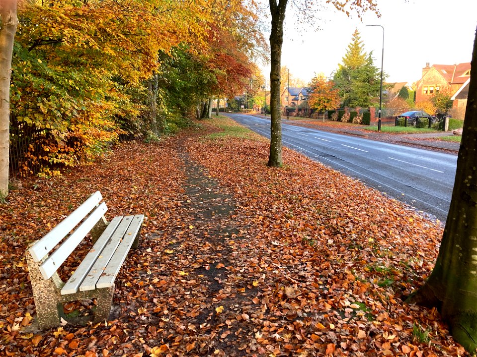 Davyhulme Road, Urmston