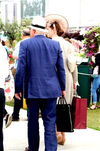 Chelsea Flower Show 2017 photo