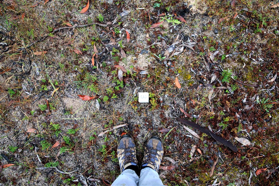 2022 Site 3 Ground photo 3