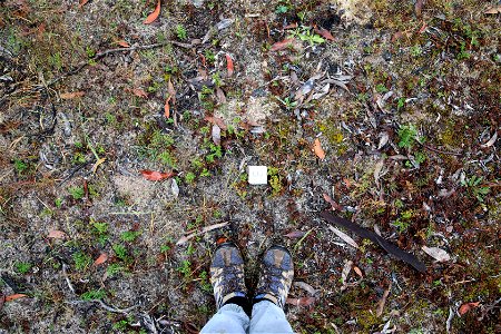 2022 Site 3 Ground photo 3