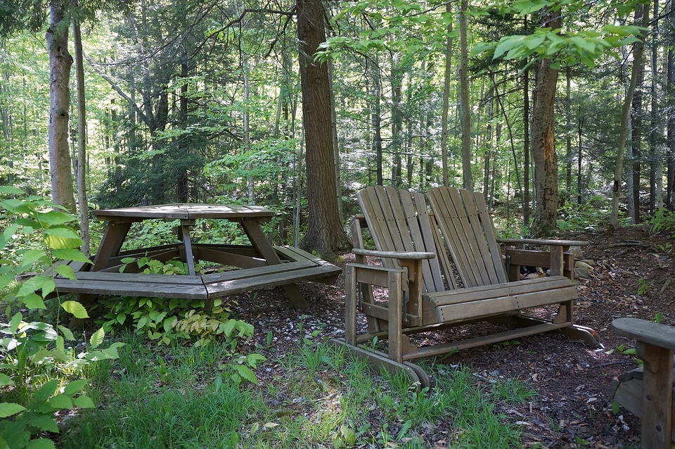 Wooden Chairs in Log Cabin