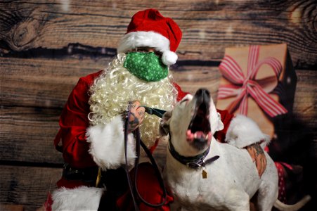 City of Elderly Love Claus for Paws Fundraiser